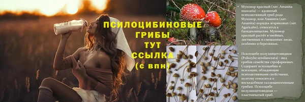 ECSTASY Краснотурьинск