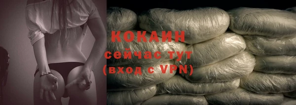дмт Костерёво