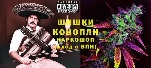 дмт Костерёво
