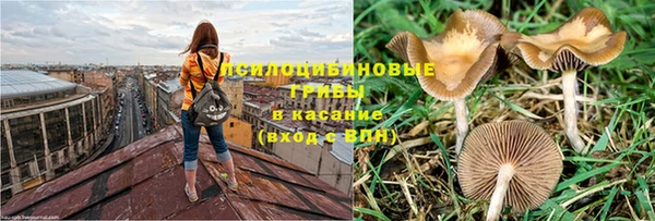 дмт Костерёво