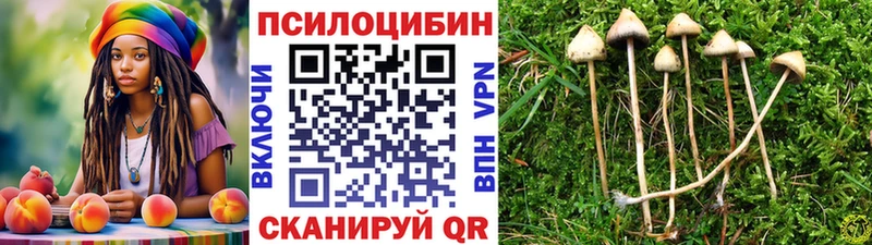 Купить где  Истра  Псилоцибиновые грибы Magic Shrooms 